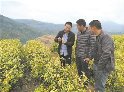 博士创新站,点燃创新驱动新引擎