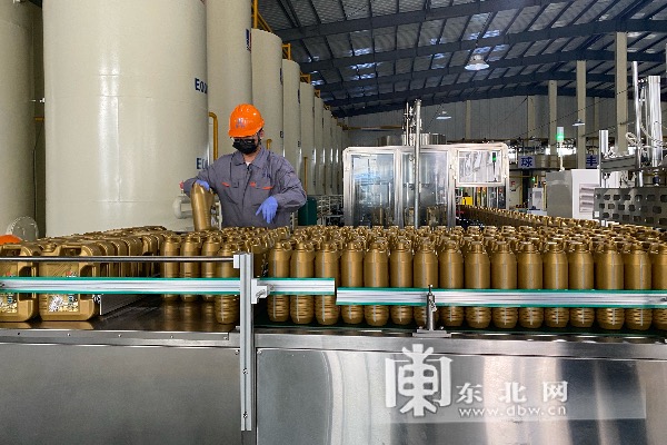 【走向我们的小康生活】鹤岗市：点“墨”成“金”