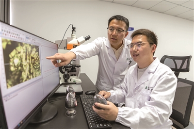 产品厚度不及头发丝直径的二十万分之一，被称为“新材料之王”——研究院的“烯”奇事