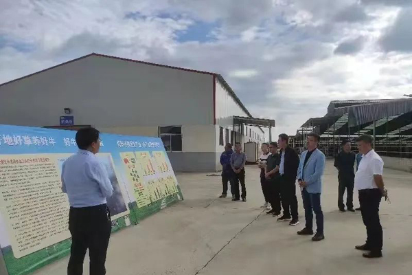 北辰区扎实推进东西部协作甘肃华池县工作