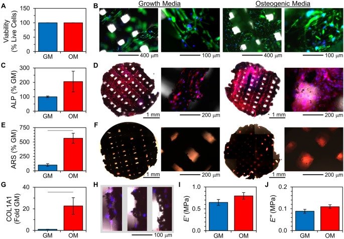 卡内基梅隆大学使用3D打印技术，研发磷酸钙石墨烯材料用于骨再生
