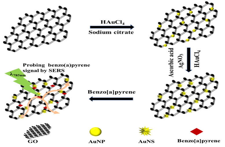 食品科学与工程学院徐志祥教授团队在金纳米星@还原氧化石墨烯SERS底物研究方面取得新进展