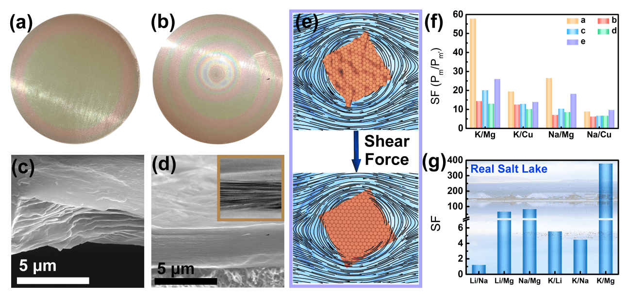 兰州大学研究人员在盐湖战略元素分离膜的设计与构筑中取得新进展