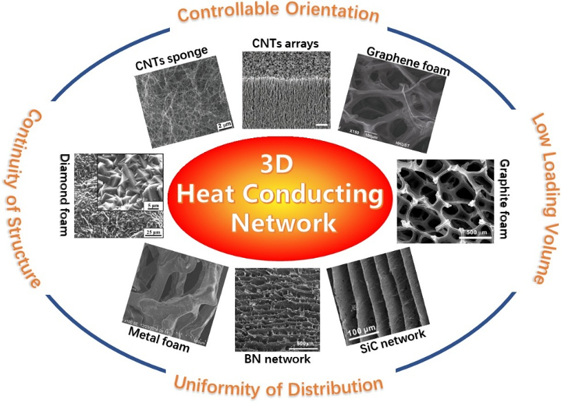 天津大学封伟团队MSER：聚合物基三维连续网络的导热复合材料