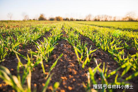 石墨烯小知识之石墨烯在农业中的应用