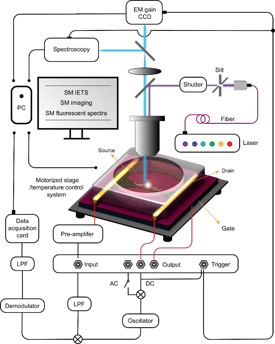 郭雪峰课题组报道单分子芯片制备实验流程