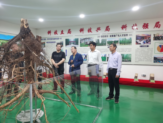 民盟省委能源革命综合改革试点调研组开展石墨烯林业应用调研