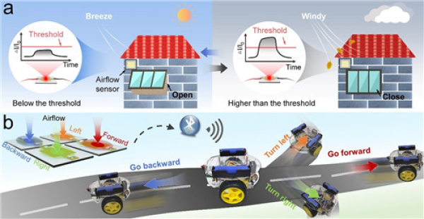 宁波材料所在蝙蝠翼膜启发的气流传感系统方面取得进展