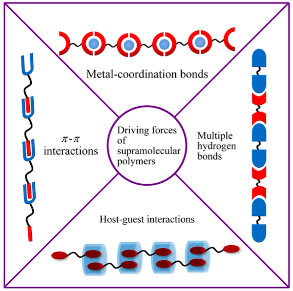 学术干货｜快速了解超分子聚合物的前世今生