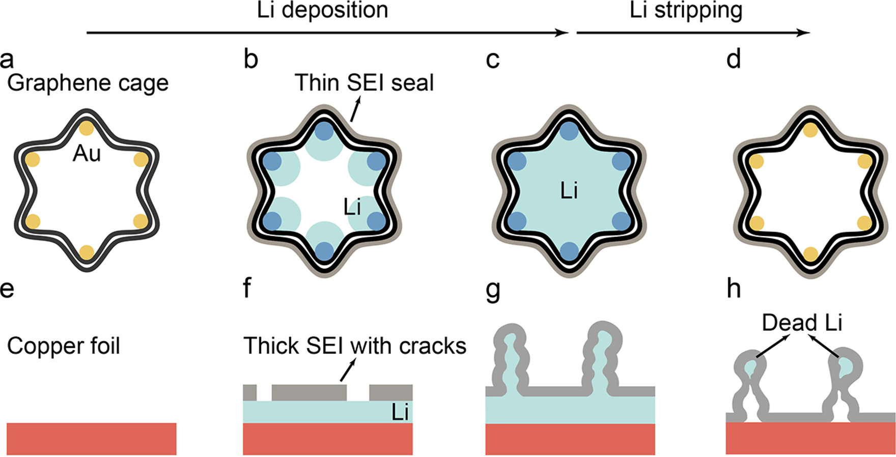 崔屹Nano Lett.：褶皱石墨烯笼用作锂金属优良载体