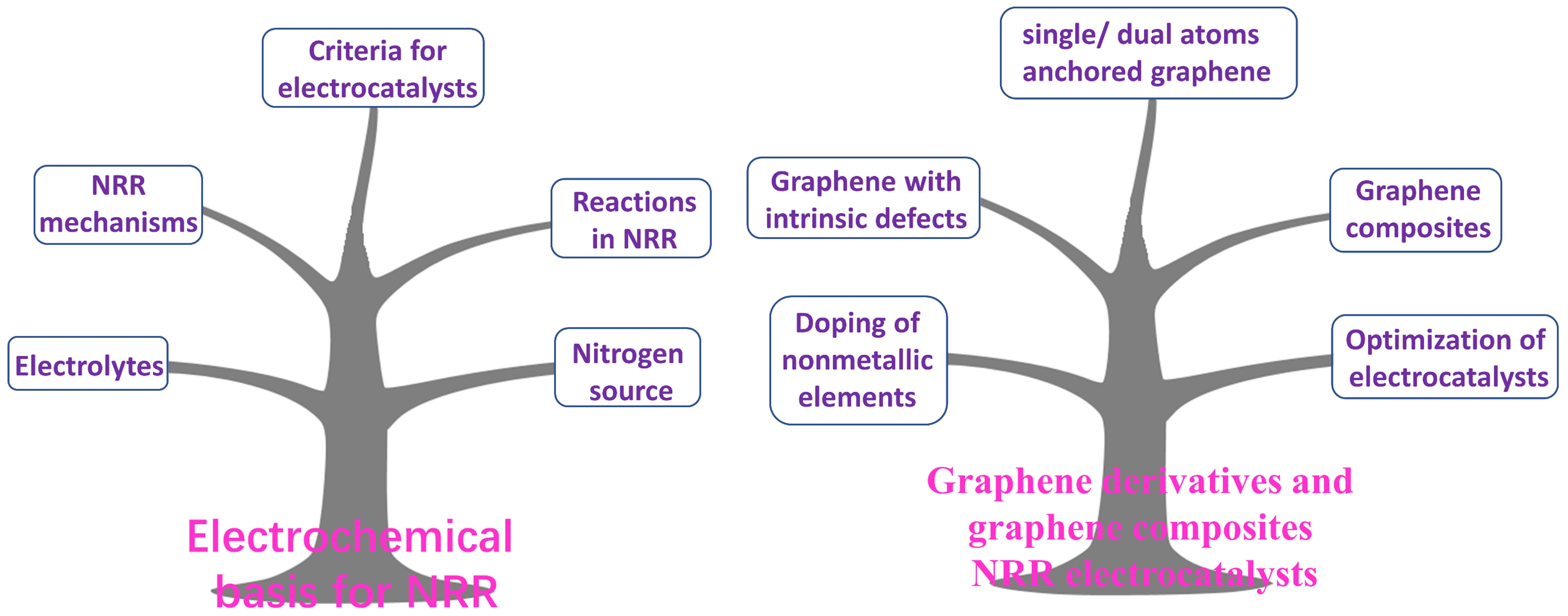 Small Structures：石墨烯衍生物和石墨烯复合材料电催化剂用于N2到NH3固定