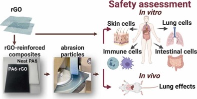 研究人员评估石墨烯增强复合材料的健康危害