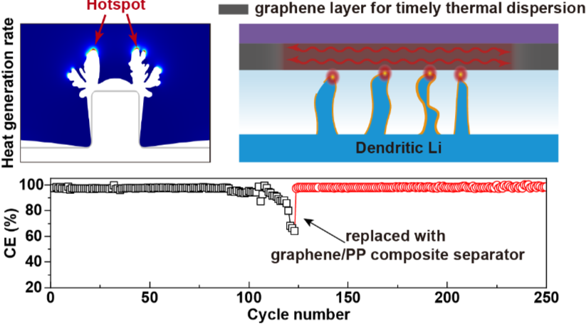 石墨烯修饰隔膜消除局部温度热点稳定锂金属负极