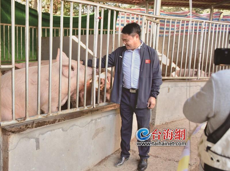 这家厦企造出7纳米石墨烯集成电路