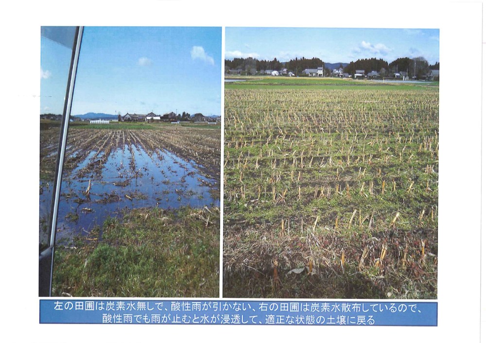 赵猛：石墨烯应用助力农业发展