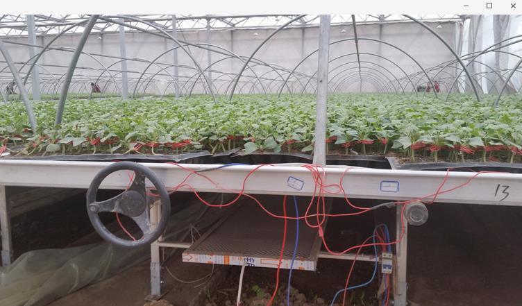 赵猛：石墨烯应用助力农业发展