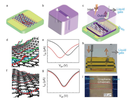 济南大学逄金波-刘宏Adv. Mater. Technol.：晶圆级石墨烯的化学气相沉积法合成及其电子器件应用