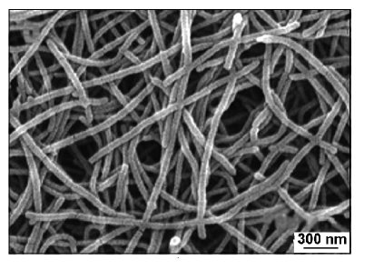 哈！原来你是这样的生物质碳材料！！