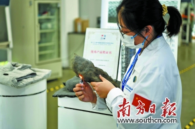 新材料争夺战：广东向世界发起冲击