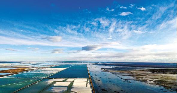 柴达木传统产业转型迎来又一个发展“春天”