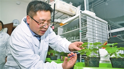 内蒙古多点着手解决“卡脖子”技术等基础科学难题