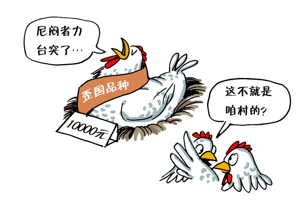 半月谈丨急功近利催生科研“浮躁病” ：施治八大痛点，激发创新活力