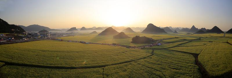 云南曲靖烟区以产业高质量发展助力乡村振兴 “云上花乡”出“靖”品