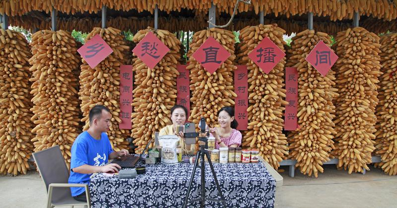 云南曲靖烟区以产业高质量发展助力乡村振兴 “云上花乡”出“靖”品