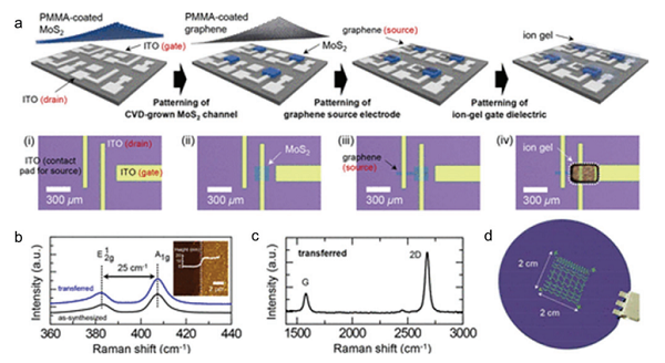 济南大学逄金波-刘宏Adv. Mater. Technol.：晶圆级石墨烯的化学气相沉积法合成及其电子器件应用