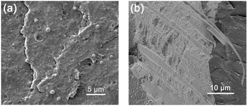 宁波材料所在高分子复合材料3D打印方面取得进展