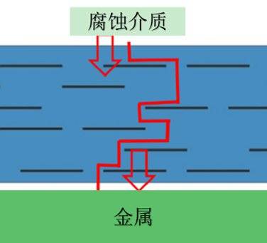 防腐蚀、自清洁、能隐身，什么“衣服”这么神奇？