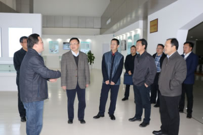 重庆市副市长屈谦到我司视察参观