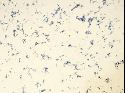 人造石市场前景广阔，石英石未来发展潜力无穷！——访全国石材标准化技术委员会秘书长周俊兴