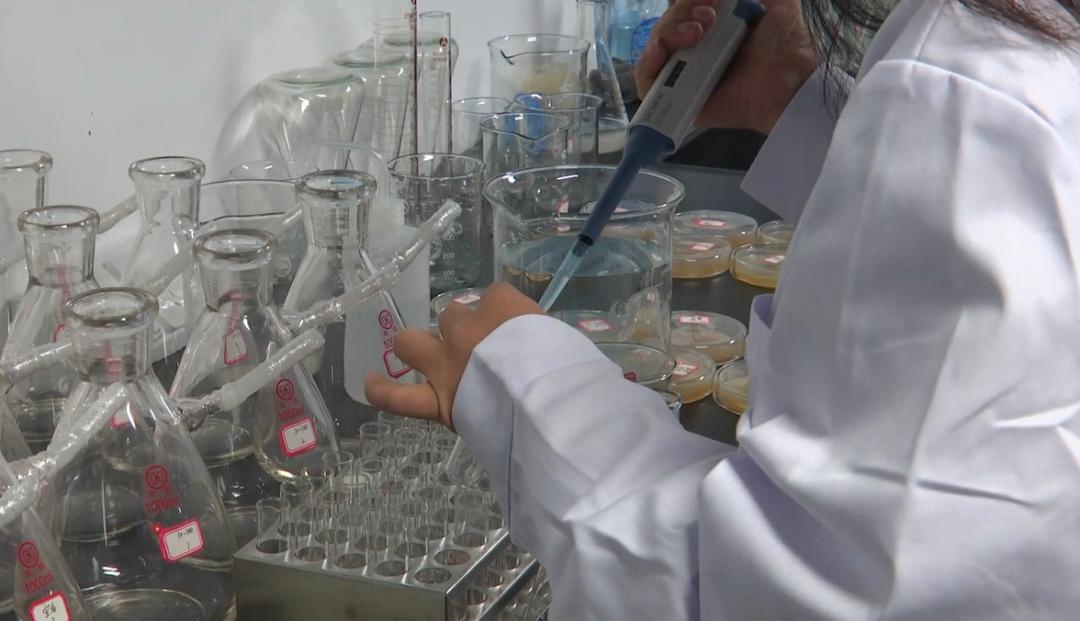 诸暨研发成功！石墨烯袜，抗菌效果达90%以上！