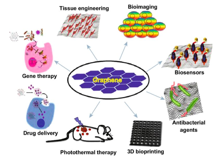 石墨烯在3D打印和生物医学应用中的奇迹和毒性