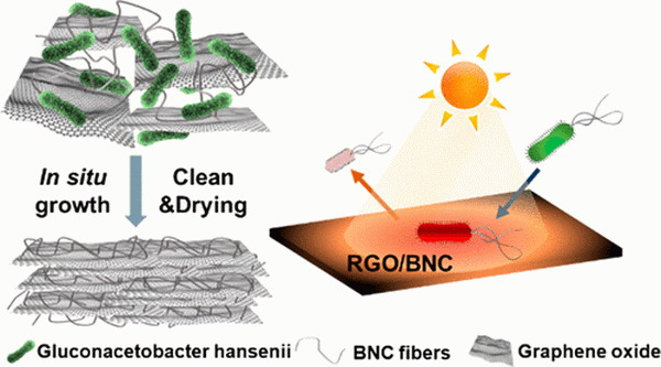 细菌织造纤维素的氧化石墨烯滤芯制备技术可高效净水