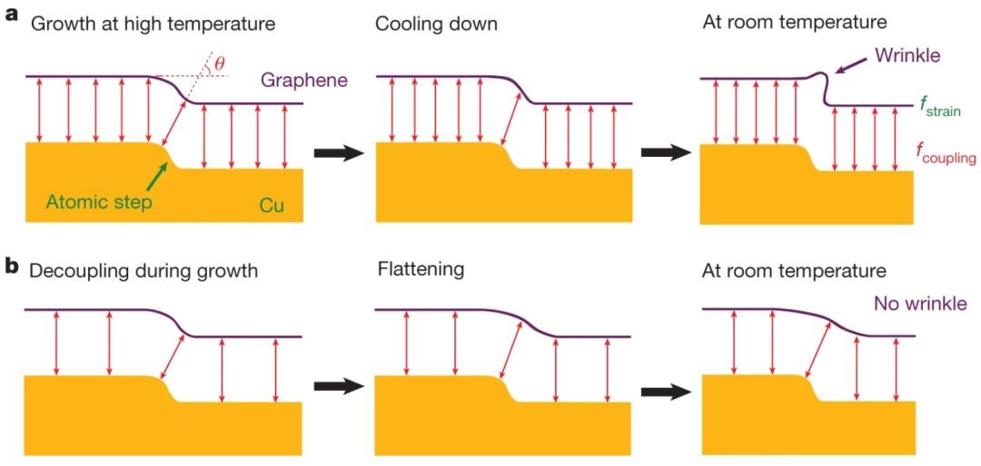 两篇Nature来相遇：一篇来自南京大学，一篇破解半个多世纪争议！