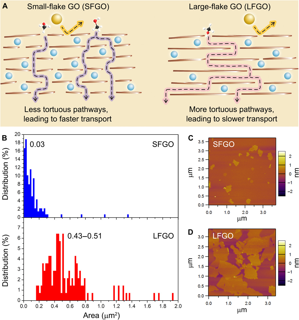 Science Advances：小片状氧化石墨烯膜实现超快速有机溶剂纳滤