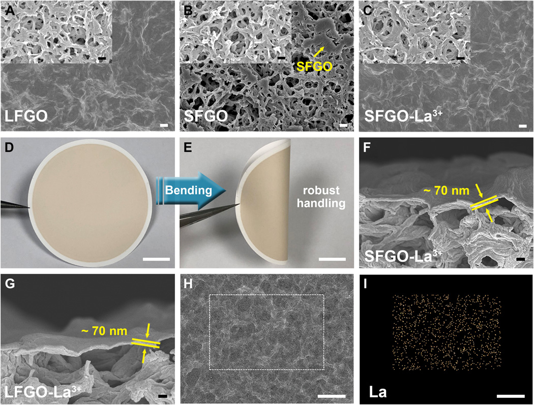 Science Advances：小片状氧化石墨烯膜实现超快速有机溶剂纳滤