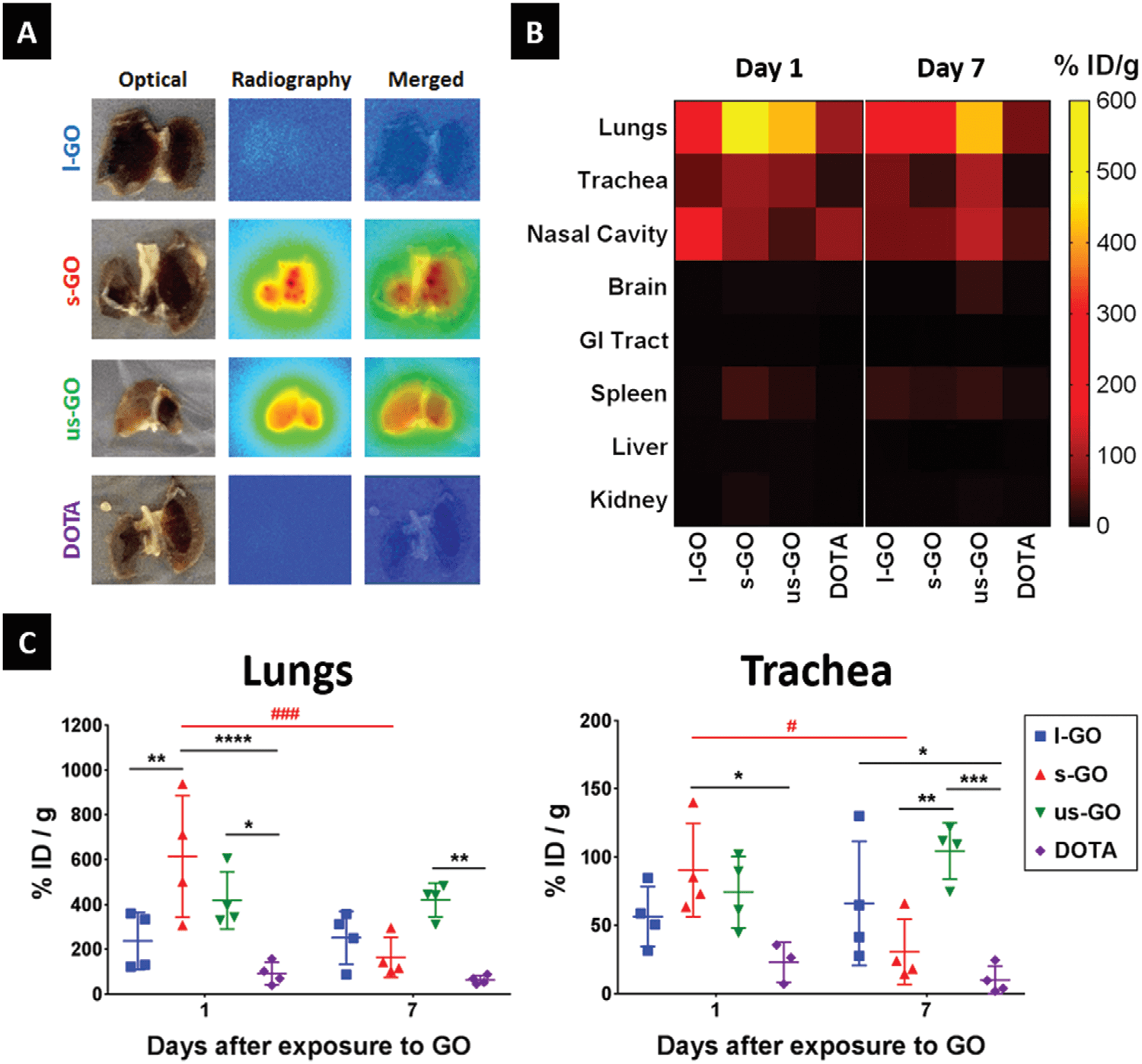 Adv. Sci：氧化石墨烯片对小鼠肺的影响