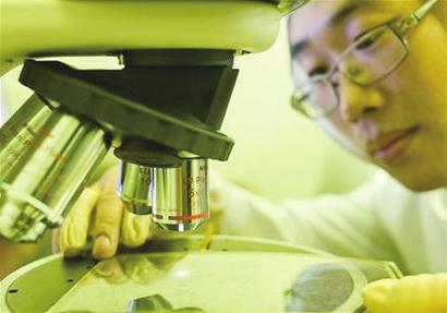 研究人员利用显微镜对单层石墨烯制成的触摸屏产品进行进一步数据分析。