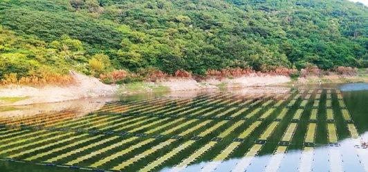 试用一张“网”净化水库水 嵊泗引进石墨烯光催化网提升水质