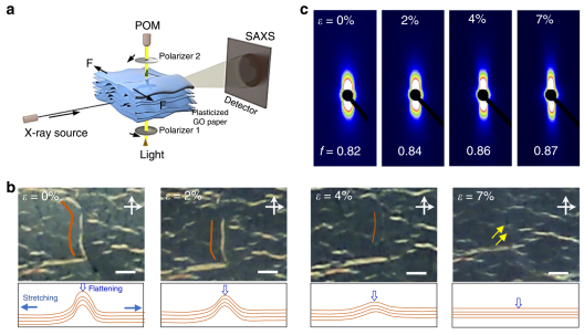 浙大高超等人Nature Commun.：规模化生产高强度石墨烯纸！