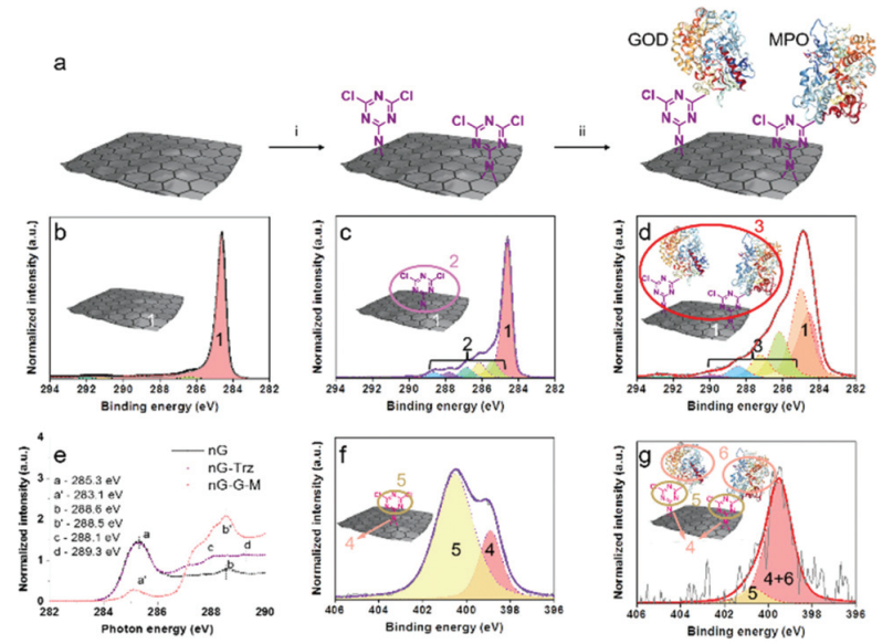 Nanoscale：可自降解石墨烯片用于肿瘤治疗