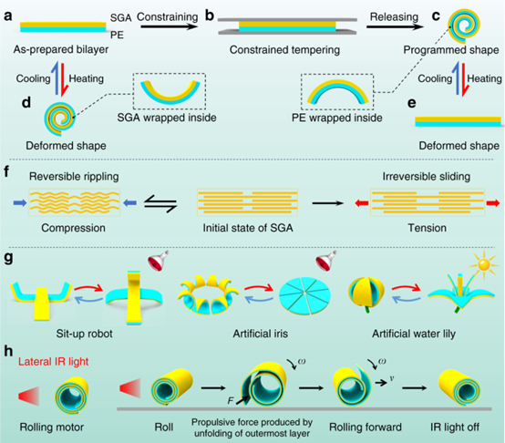Nat. Commun.: 叠层石墨烯用于制备软体机器人