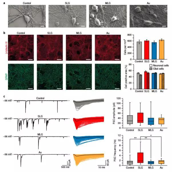 Nature系列4篇连发，石墨烯终归于物理？