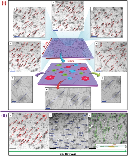 AM: 宏观自组装生长大面积单晶石墨烯