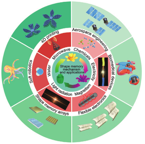 冷劲松&刘彦菊AM综述：形状记忆聚合物及其复合材料的研究进展：机理、材料和应用