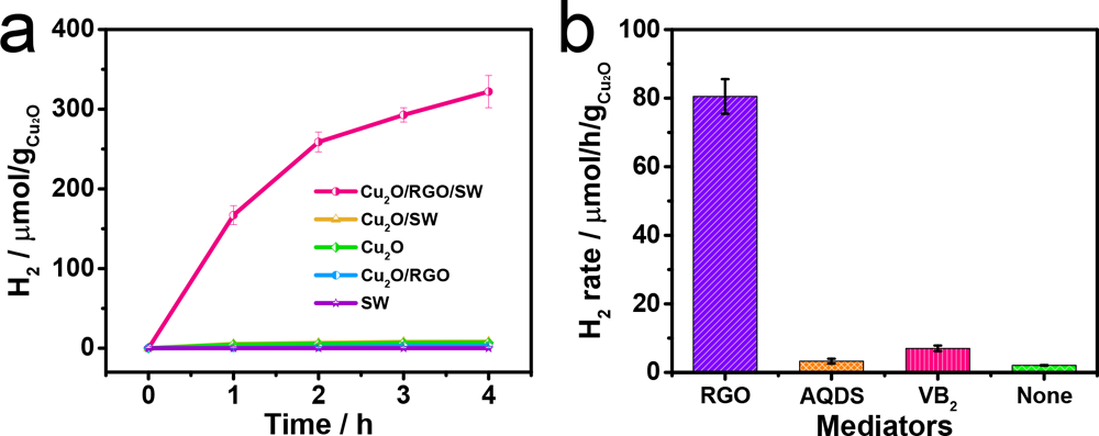 ACS Catal：Cu2O-希瓦氏菌-还原石墨烯光催化HER系统