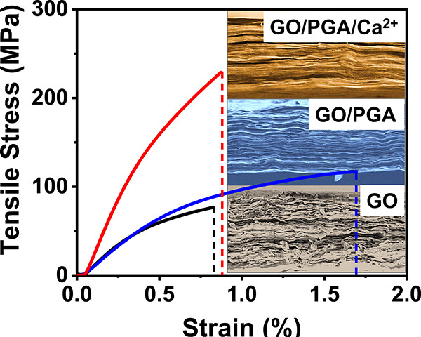 ACS Nano：生物合成聚合物与氧化石墨烯自组装成力学性能增强的纳米复合膜